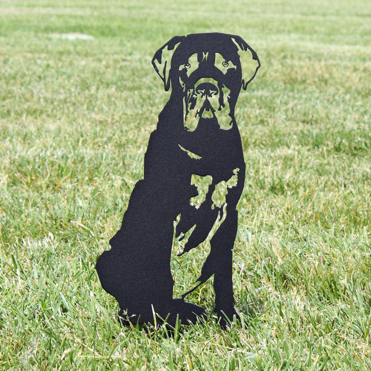 Mastiff, photo 10 of 13