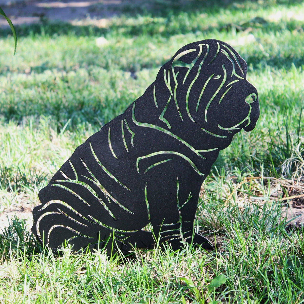 Shar Pei, photo 9 of 13