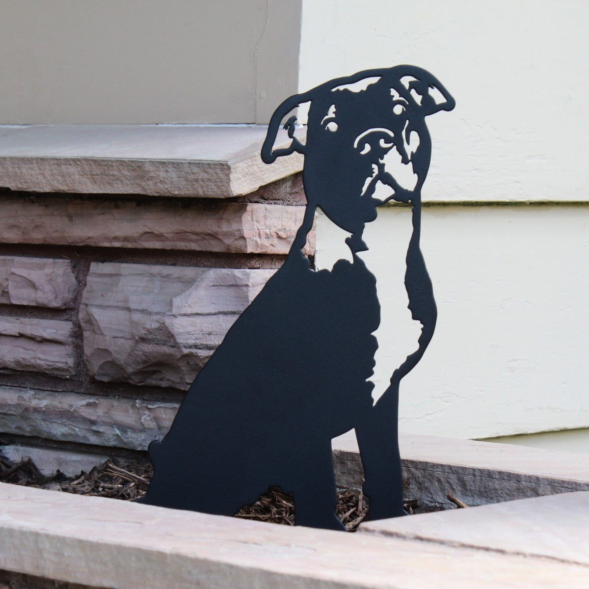 American Pit Bull Terrier, photo 2 of 17