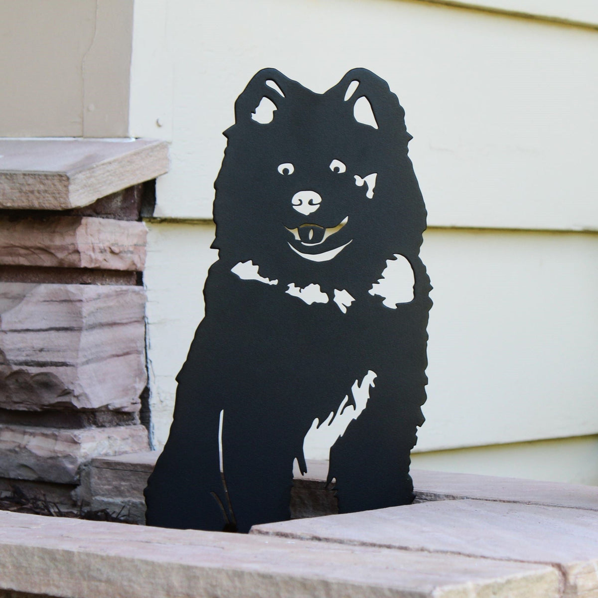 Samoyed, photo 2 of 13