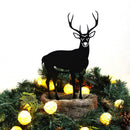 Deer - Buck