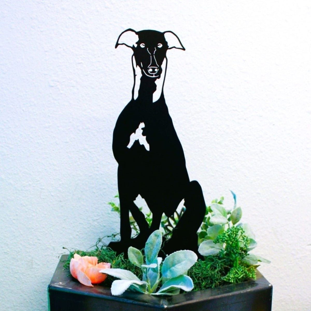 Greyhound, photo 10 of 14