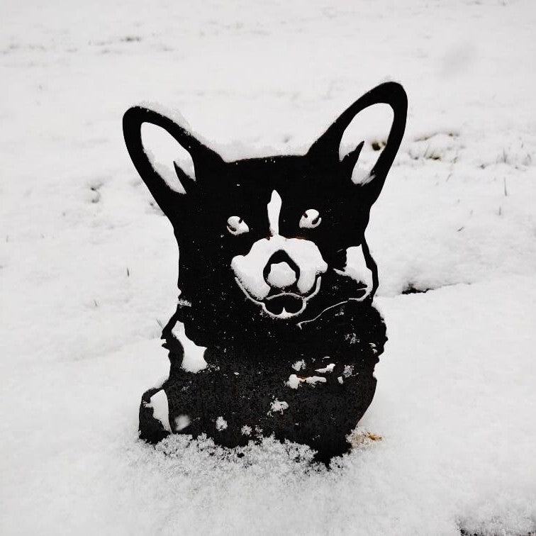 Corgi, photo 11 of 15