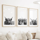 Black White Highland Cow Photo. 3 Piece Wall Art by Wall Art Set