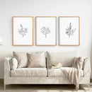 Flower Line Art Set of 3 Prints - Botanical Wall Décor by Wall Art Set