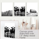 Black White Harvest on a Farm Wall Art. Cow, Hay Bale, Barn by Wall Art Set