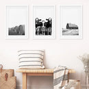 Black White Harvest on a Farm Wall Art. Cow, Hay Bale, Barn by Wall Art Set