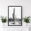 Black White Saguaro Cactus Poster. Arizona Desert Nature by Wall Art Set