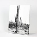 Black White Saguaro Cactus Poster. Arizona Desert Nature by Wall Art Set