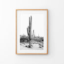 Black White Saguaro Cactus Poster. Arizona Desert Nature by Wall Art Set