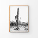 Black White Saguaro Cactus Poster. Arizona Desert Nature by Wall Art Set