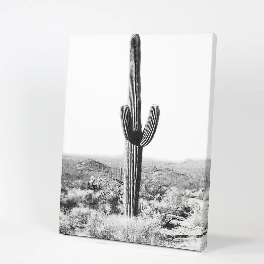 Saguaro Cactus Print. Black White Arizona Desert Nature, photo 9 of 10