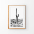 Saguaro Cactus Print. Black White Arizona Desert Nature by Wall Art Set