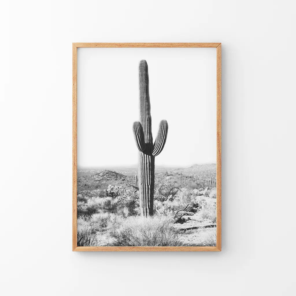 Saguaro Cactus Print. Black White Arizona Desert Nature, photo 8 of 10