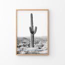 Saguaro Cactus Print. Black White Arizona Desert Nature by Wall Art Set