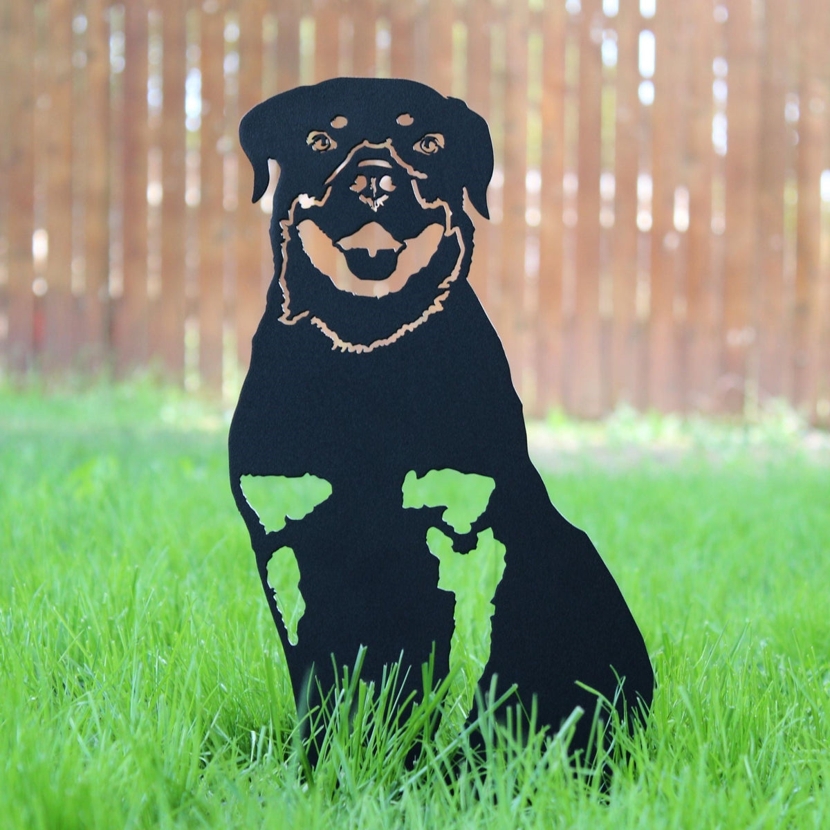Rottweiler, photo 8 of 14