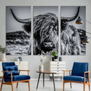 Black and White Cow Wall Art Canvas Print Highland Cattle