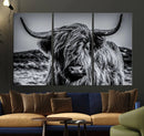Black and White Cow Wall Art Canvas Print Highland Cattle