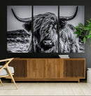 Black and White Cow Wall Art Canvas Print Highland Cattle
