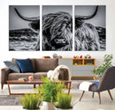 Black and White Cow Wall Art Canvas Print Highland Cattle