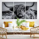 Black and White Cow Wall Art Canvas Print Highland Cattle