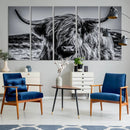 Black and White Cow Wall Art Canvas Print Highland Cattle