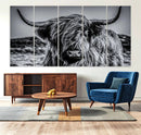 Black and White Cow Wall Art Canvas Print Highland Cattle