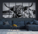 Black and White Cow Wall Art Canvas Print Highland Cattle