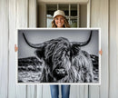 Black and White Cow Wall Art Canvas Print Highland Cattle