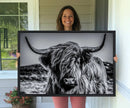 Black and White Cow Wall Art Canvas Print Highland Cattle