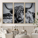 Black and White Cow Wall Art Canvas Print Highland Cattle