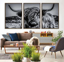 Black and White Cow Wall Art Canvas Print Highland Cattle