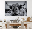 Black and White Cow Wall Art Canvas Print Highland Cattle