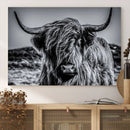Black and White Cow Wall Art Canvas Print Highland Cattle