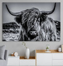 Black and White Cow Wall Art Canvas Print Highland Cattle