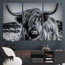 Black and White Cow Wall Art Canvas Print Highland Cattle