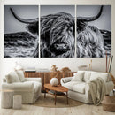 Black and White Cow Wall Art Canvas Print Highland Cattle