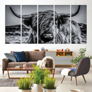 Black and White Cow Wall Art Canvas Print Highland Cattle