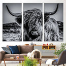 Black and White Cow Wall Art Canvas Print Highland Cattle