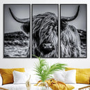 Black and White Cow Wall Art Canvas Print Highland Cattle