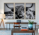 Black and White Cow Wall Art Canvas Print Highland Cattle
