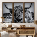 Black and White Cow Wall Art Canvas Print Highland Cattle