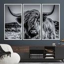 Black and White Cow Wall Art Canvas Print Highland Cattle