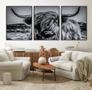 Black and White Cow Wall Art Canvas Print Highland Cattle
