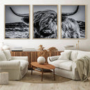 Black and White Cow Wall Art Canvas Print Highland Cattle