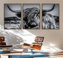 Black and White Cow Wall Art Canvas Print Highland Cattle