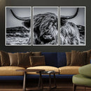 Black and White Cow Wall Art Canvas Print Highland Cattle