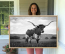 Black and White Longhorn Texas Cow Canvas Wall Art Print by MyGreatCanvas | Canvas Wall Art Prints | Photo Prints & Wall Decor