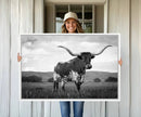 Black and White Longhorn Texas Cow Canvas Wall Art Print by MyGreatCanvas | Canvas Wall Art Prints | Photo Prints & Wall Decor