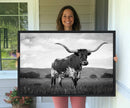 Black and White Longhorn Texas Cow Canvas Wall Art Print by MyGreatCanvas | Canvas Wall Art Prints | Photo Prints & Wall Decor